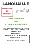 vide grenier 001 -  voir en grand cette image