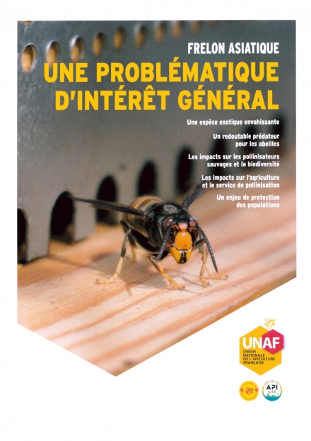 Bouchons de piégeage disponibles à la mairie - JPEG - 634.1&nbsp;ko